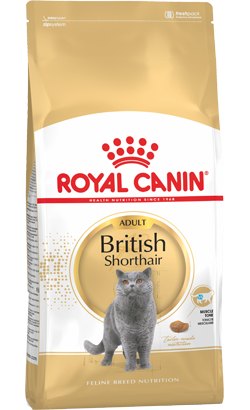 Royal Canin Cat British Shorthair Adult – imagem secundária 1