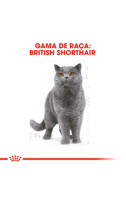 Royal Canin Cat British Shorthair Adult – imagem secundária 2