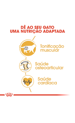 Royal Canin Cat British Shorthair Adult – imagem secundária 3