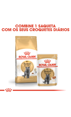 Royal Canin Cat British Shorthair Adult – imagem secundária 5