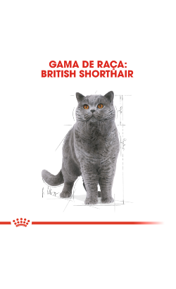 Royal Canin Cat British Shorthair Adult – imagem secundária 2