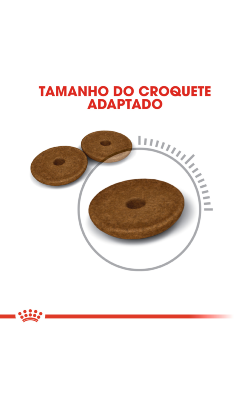 Royal Canin Cat Digestive Care – imagem secundária 4