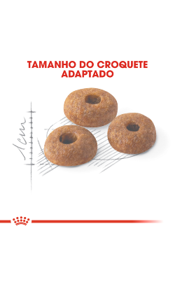 Royal Canin Cat Fit 32 – imagem secundária 4