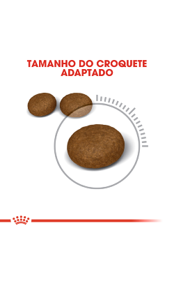 Royal Canin Cat Hair & Skin Care – imagem secundária 4