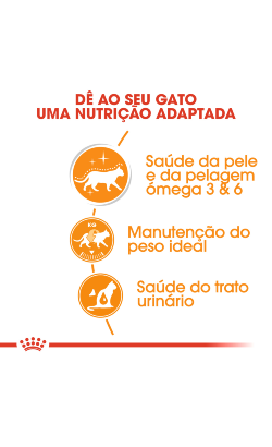 Royal Canin Cat Hair & Skin in Gravy – imagem secundária 3