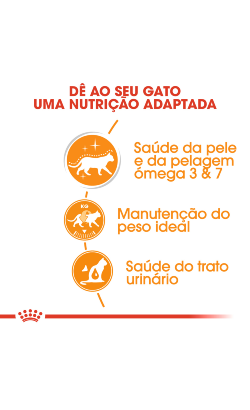 Royal Canin Cat Hair & Skin in Jelly – imagem secundária 3