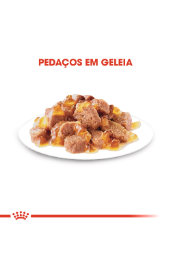 Royal Canin Cat Hair & Skin in Jelly – imagem secundária 4