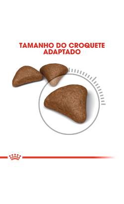Royal Canin Cat Hairball Care – imagem secundária 4