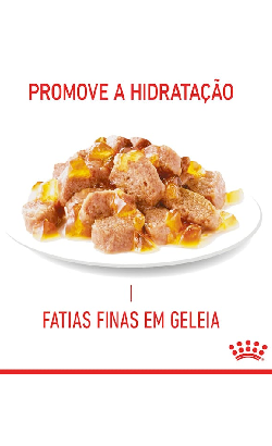 Royal Canin Cat Hairball Care in Jelly – imagem secundária 2