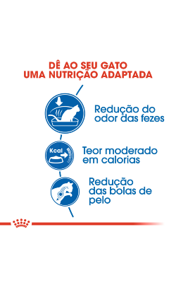 Royal Canin Cat Indoor 27 – imagem secundária 4