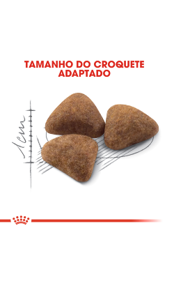 Royal Canin Cat Indoor 27 – imagem secundária 5