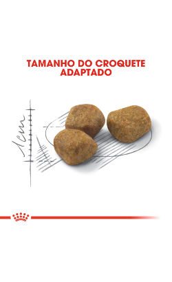 Royal Canin Cat Indoor 7+ – imagem secundária 5
