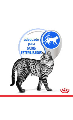 Royal Canin Cat Indoor Sterilised in Gravy – imagem secundária 3