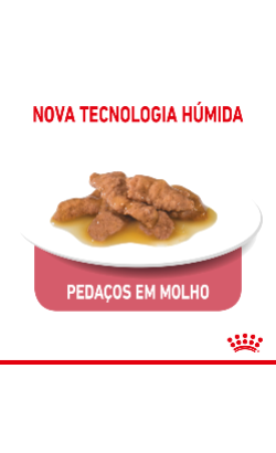Royal Canin Cat Indoor Sterilised in Gravy – imagem secundária 4