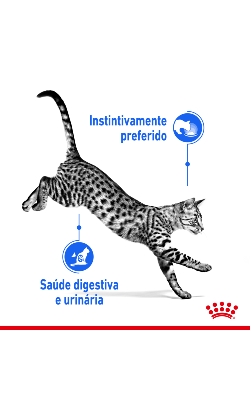 Royal Canin Cat Indoor Sterilised in Jelly – imagem secundária 2