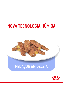 Royal Canin Cat Indoor Sterilised in Jelly – imagem secundária 4