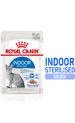 Royal Canin Cat Indoor Sterilised in Jelly – imagem principal