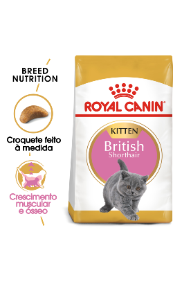 Royal Canin Cat Kitten British Shorthair – imagem principal