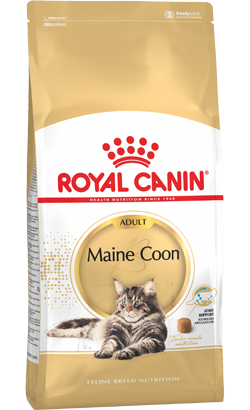 Royal Canin Cat Maine Coon Adult – imagem secundária 1