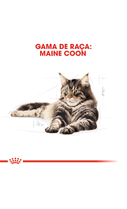Royal Canin Cat Maine Coon Adult – imagem secundária 2