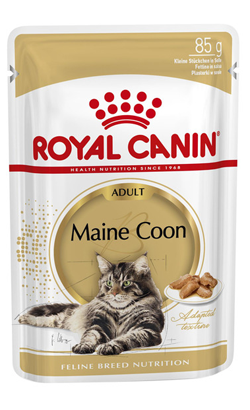 Royal Canin Cat Maine Coon Adult – imagem secundária 1