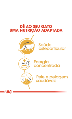 Royal Canin Cat Maine Coon Adult – imagem secundária 2