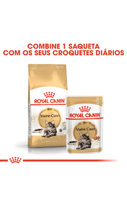 Royal Canin Cat Maine Coon Adult – imagem secundária 4