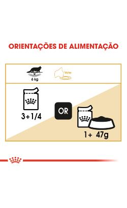Royal Canin Cat Maine Coon Adult – imagem secundária 5