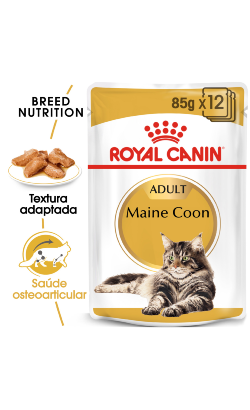Royal Canin Cat Maine Coon Adult – imagem principal