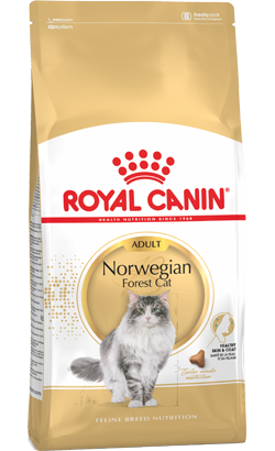 Royal Canin Cat Norwegian Forest Adult – imagem secundária 1