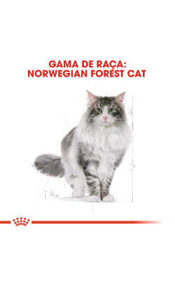 Royal Canin Cat Norwegian Forest Adult – imagem secundária 2