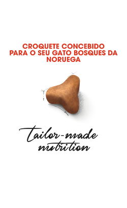 Royal Canin Cat Norwegian Forest Adult – imagem secundária 4