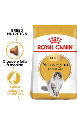 Royal Canin Cat Norwegian Forest Adult – imagem principal