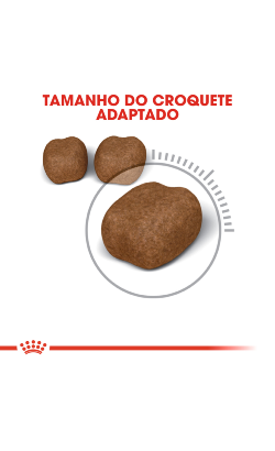 Royal Canin Cat Oral Care – imagem secundária 4