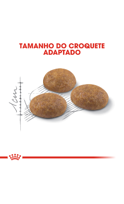 Royal Canin Cat Outdoor – imagem secundária 4