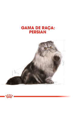 Royal Canin Cat Persian Adult – imagem secundária 2