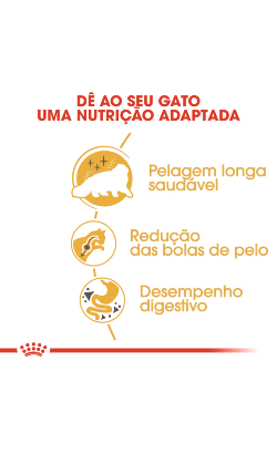 Royal Canin Cat Persian Adult – imagem secundária 3