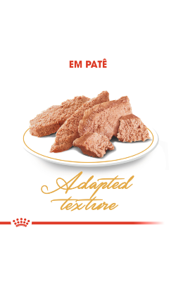 Royal Canin Cat Persian Adult – imagem secundária 4