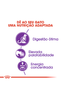 Royal Canin Cat Sensible 33 – imagem secundária 3