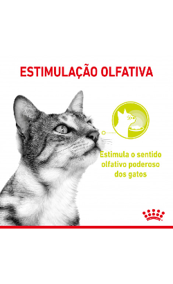 Royal Canin Cat Sensory Smell in Gravy – imagem secundária 2