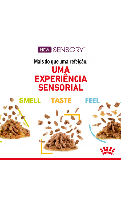 Royal Canin Cat Sensory Smell in Gravy – imagem secundária 4