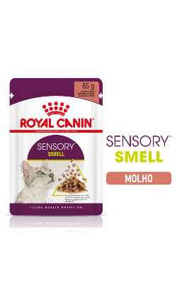 Royal Canin Cat Sensory Smell in Gravy – imagem principal