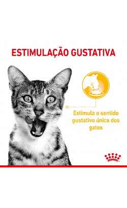 Royal Canin Cat Sensory Taste in Gravy – imagem secundária 2