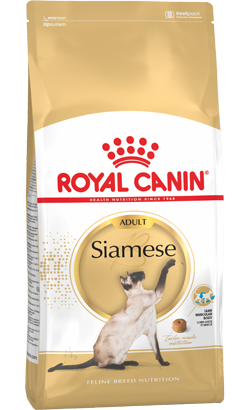 Royal Canin Cat Siamese Adult – imagem secundária 1