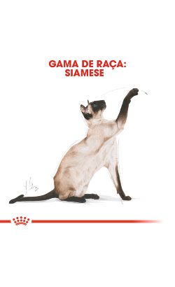 Royal Canin Cat Siamese Adult – imagem secundária 2