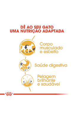Royal Canin Cat Siamese Adult – imagem secundária 3