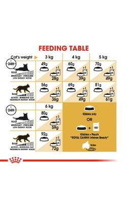 Royal Canin Cat Sphynx – imagem secundária 3