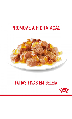 Royal Canin Cat Urinary Care in Jelly – imagem secundária 3
