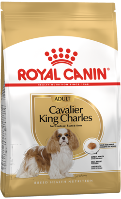 Royal Canin Cavalier King Charles Adult – imagem secundária 1