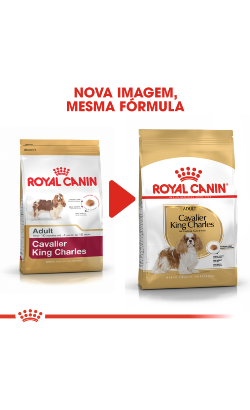 Royal Canin Cavalier King Charles Adult – imagem secundária 2